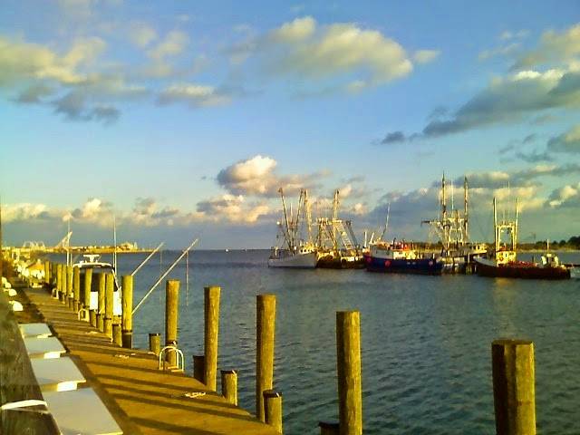 The Natural | restaurant | 533 Deale Rd, Deale, MD 20751, USA | 3017047231 OR +1 301-704-7231