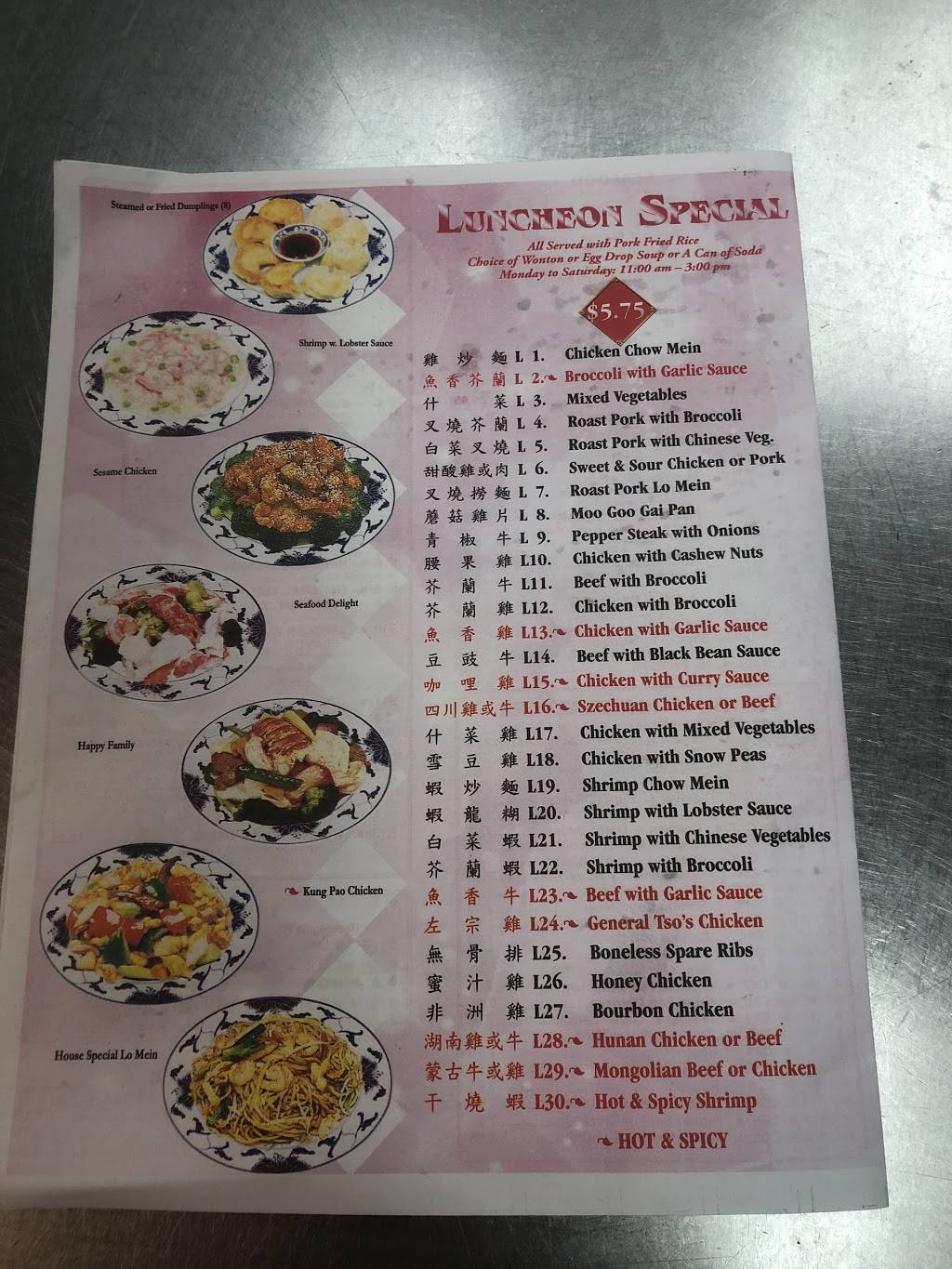 New China | restaurant | 17625 Gunn Hwy, Odessa, FL 33556, USA | 8139269885 OR +1 813-926-9885