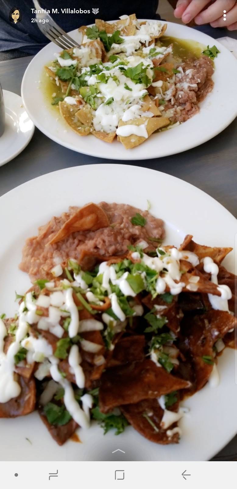 Don Mauro | restaurant | 4014 Bonita Rd, Bonita, CA 91902, USA | 6197736980 OR +1 619-773-6980