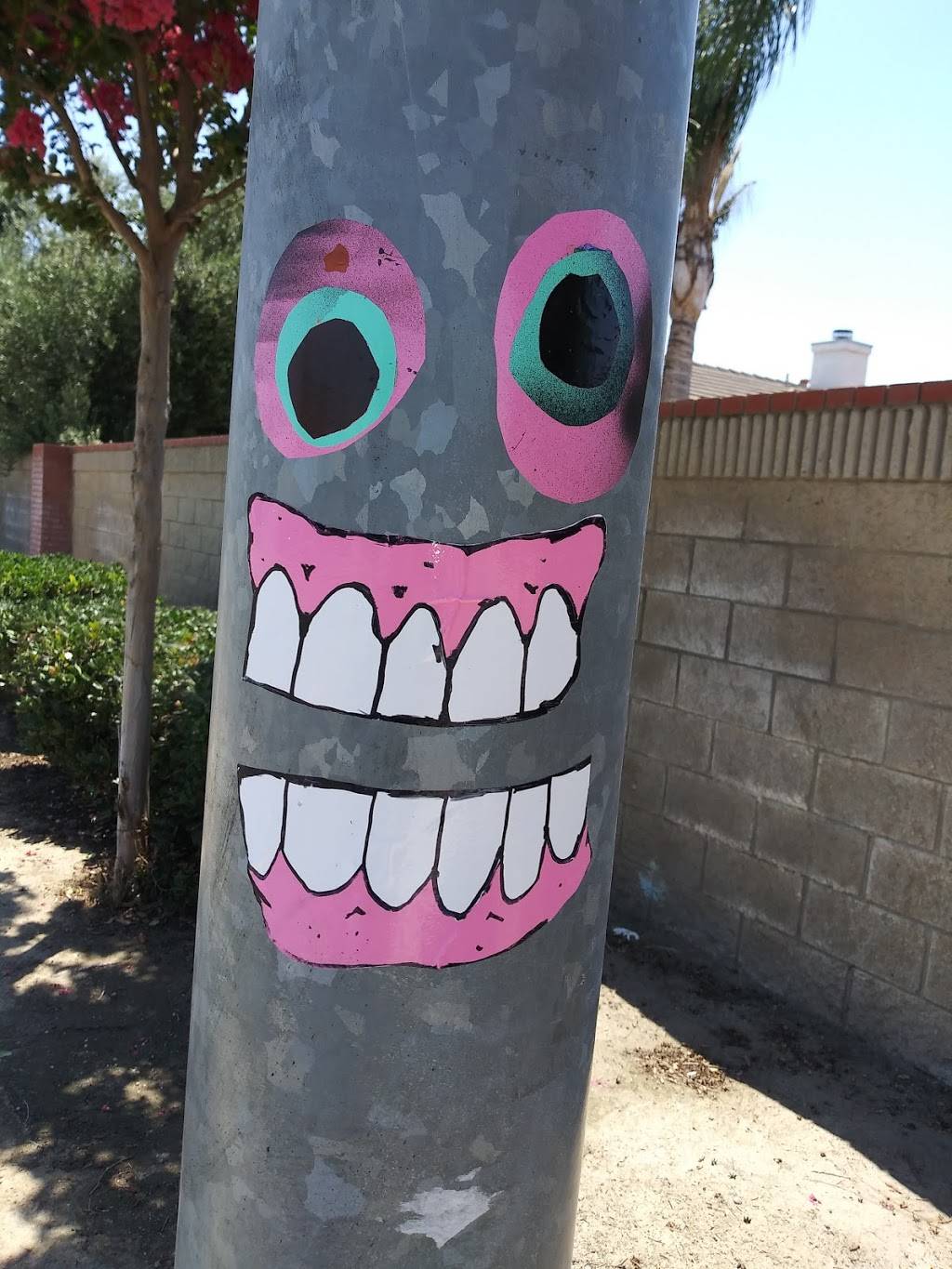 Sequoia Sandwich Company | restaurant | 4521 Buena Vista Rd, Bakersfield, CA 93311, USA | 6615649002 OR +1 661-564-9002