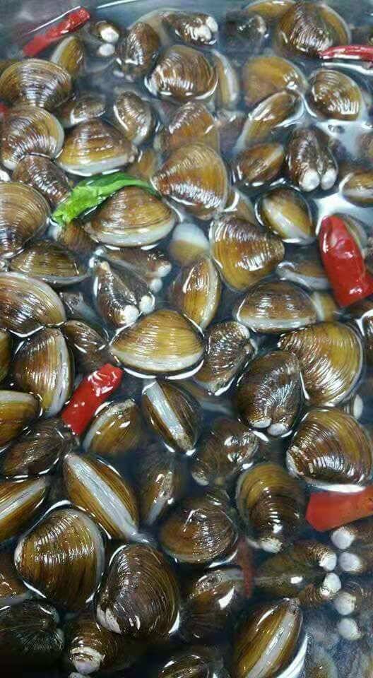 Good Taste 88 | restaurant | 43-45 Main St, Flushing, NY 11355, USA | 7188863332 OR +1 718-886-3332