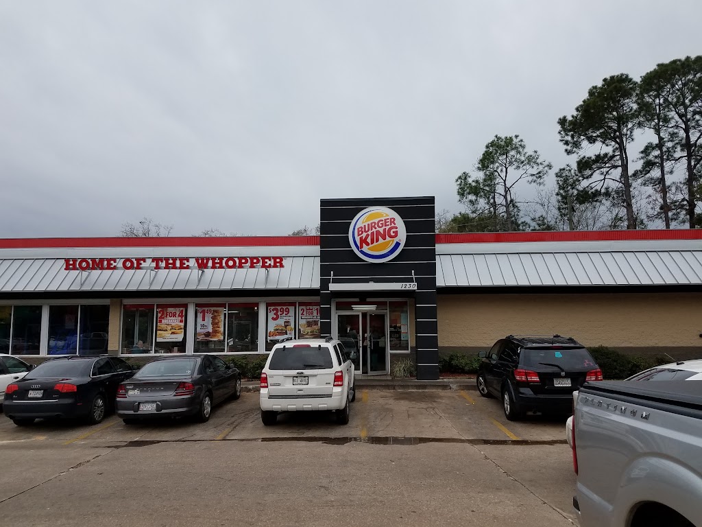 Burger King | restaurant | 1230 E Shotwell St, Bainbridge, GA 39819, USA | 9122481900 OR +1 912-248-1900