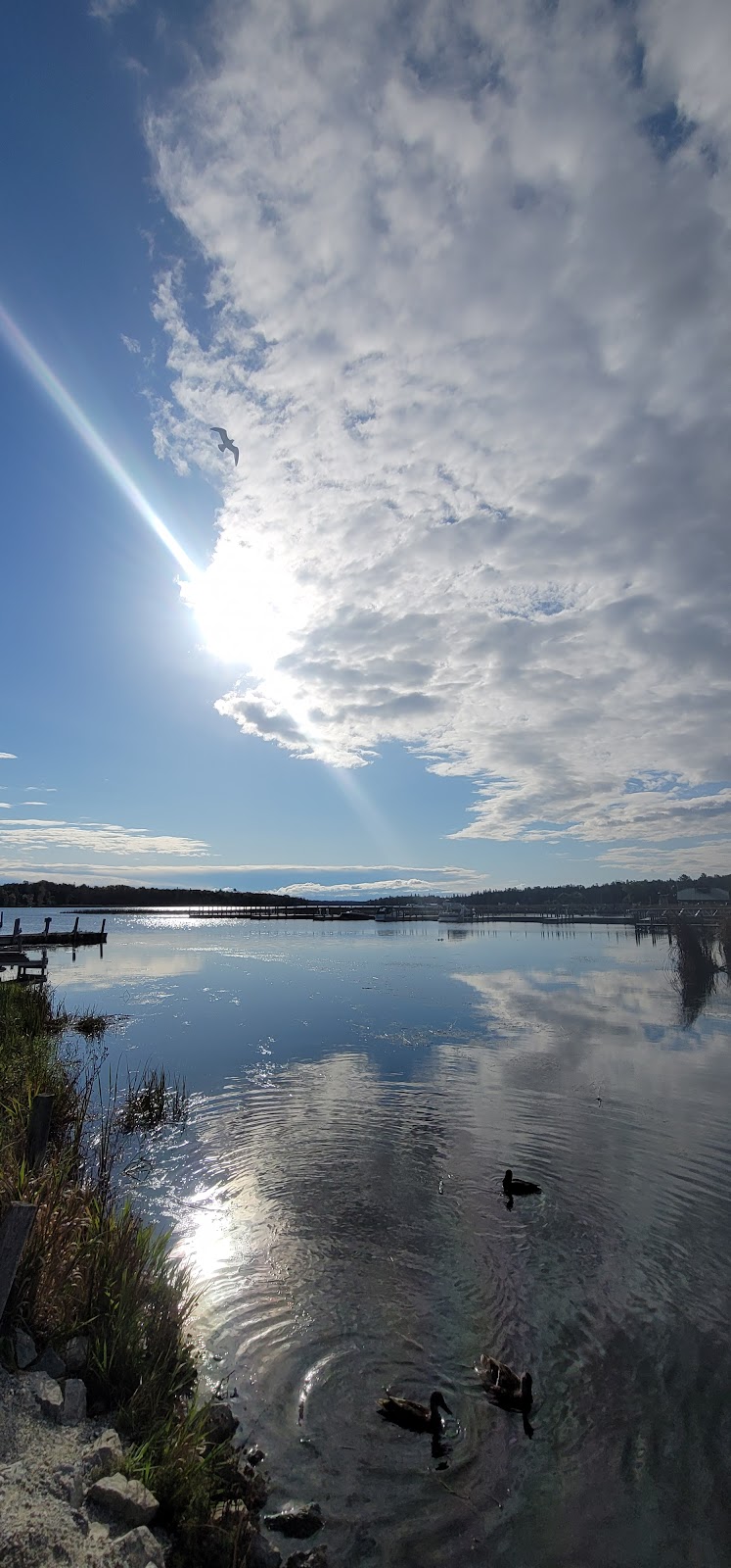 Cattails Cove | restaurant | 22 E Hodeck St, Cedarville, MI 49719, USA | 9064842995 OR +1 906-484-2995