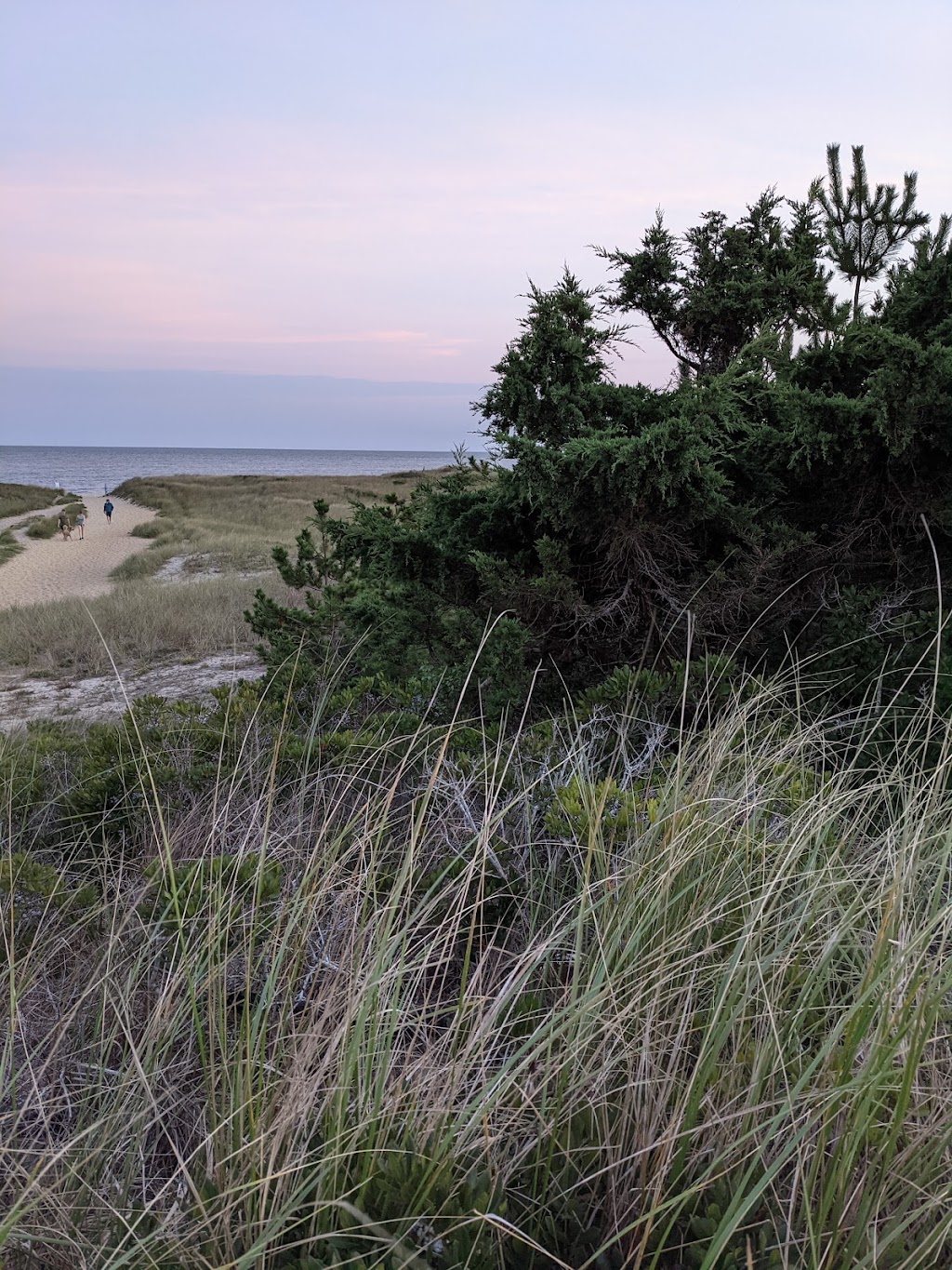 The Surf | restaurant | 160 Surfside Rd, Nantucket, MA 02554, USA | 5088255531 OR +1 508-825-5531