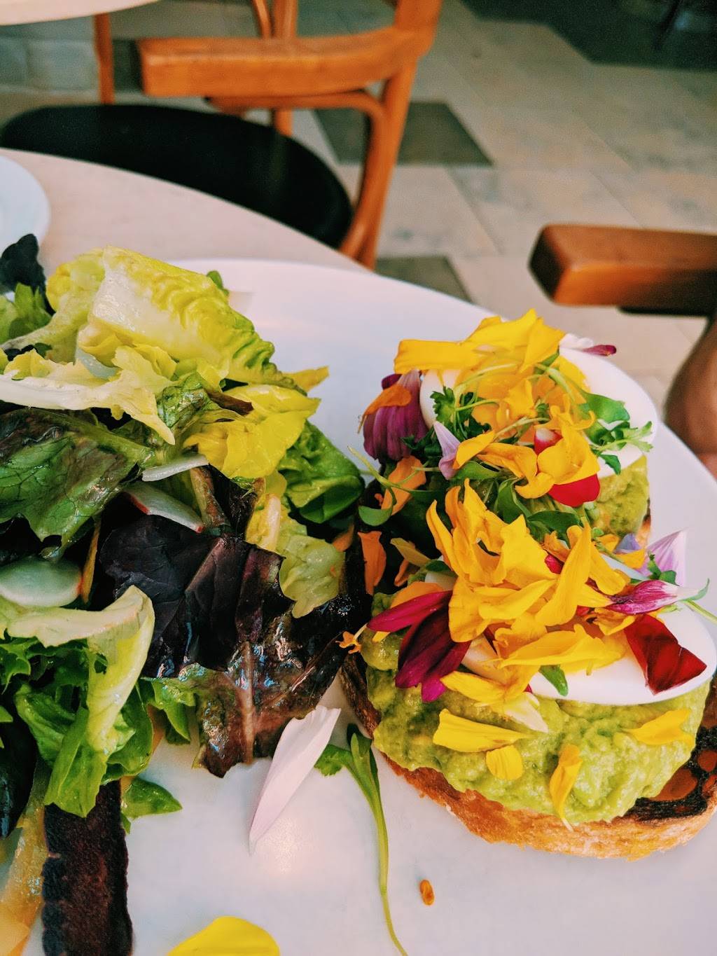 Bar Freud | restaurant | 506 LaGuardia Pl, New York, NY 10012, USA | 2127770327 OR +1 212-777-0327