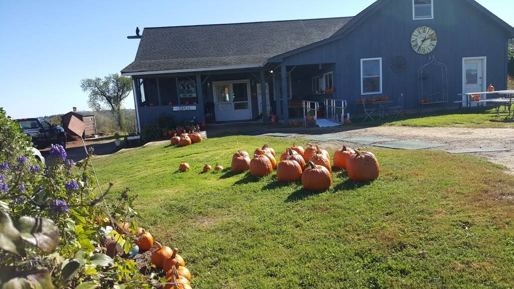 Schultz Farm and Barnside Cafe | cafe | 163 Maple Ave, Rutland, MA 01543, USA | 7742340405 OR +1 774-234-0405