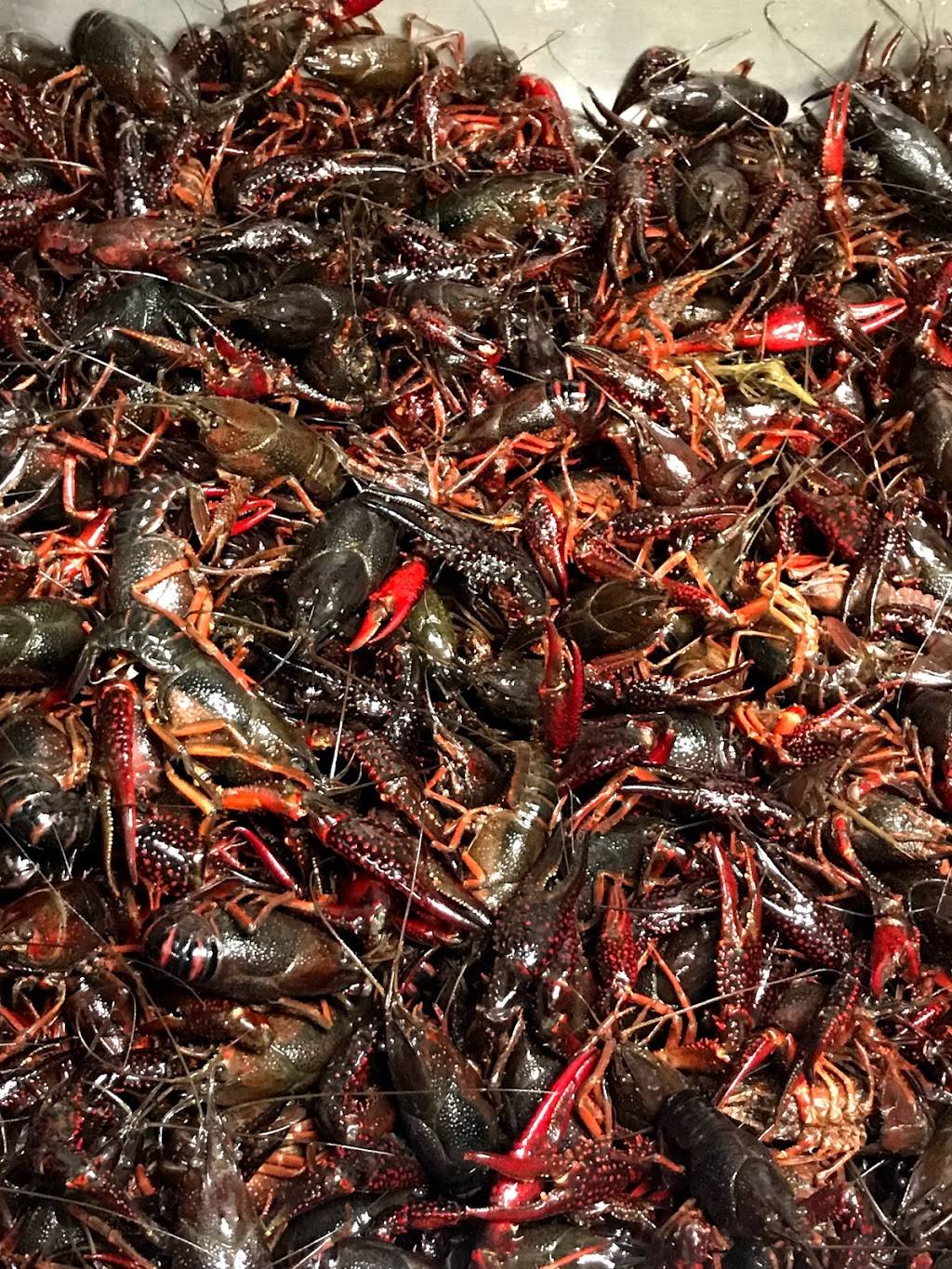 Louisiana Seafood | restaurant | 3551 Tchulahoma Rd, Memphis, TN 38118, USA | 9017957110 OR +1 901-795-7110