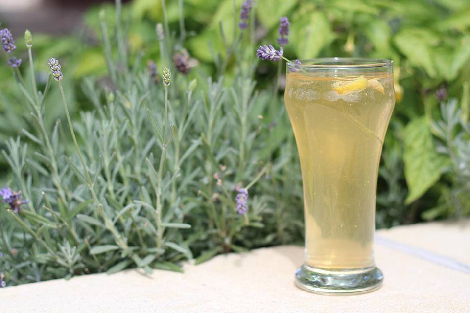 Urban Egg a daytime eatery | restaurant | 28A S Tejon St, Colorado Springs, CO 80903, USA | 7194712311 OR +1 719-471-2311