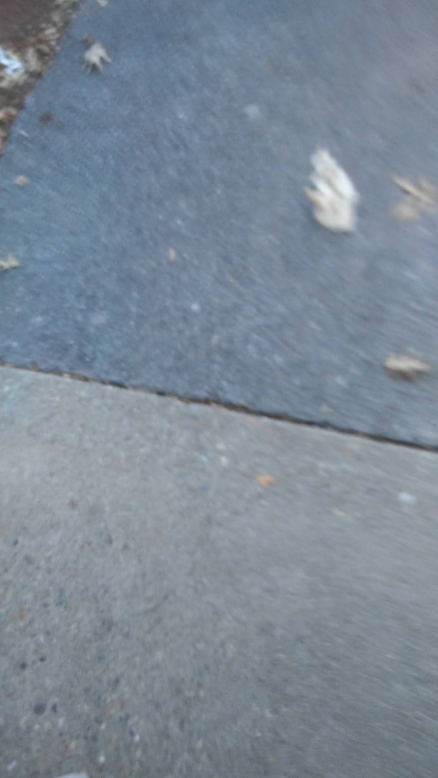 Union supermarket #1 restaurant | restaurant | 239 S Union St, Lawrence, MA 01843, USA | 9787380449 OR +1 978-738-0449