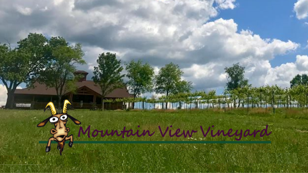 Mountain View Vineyard, Winery & Brewery | restaurant | 2332 Walters Rd, Stroudsburg, PA 18360, USA | 5706190053 OR +1 570-619-0053