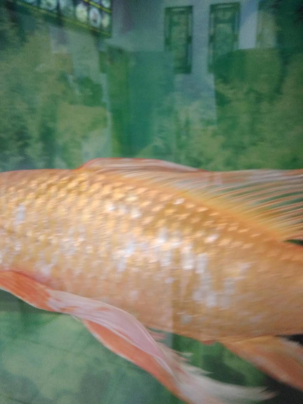 Uncle Wens China Express | restaurant | 1100 N Tuttle Ave, Sarasota, FL 34237, USA | 9413650434 OR +1 941-365-0434