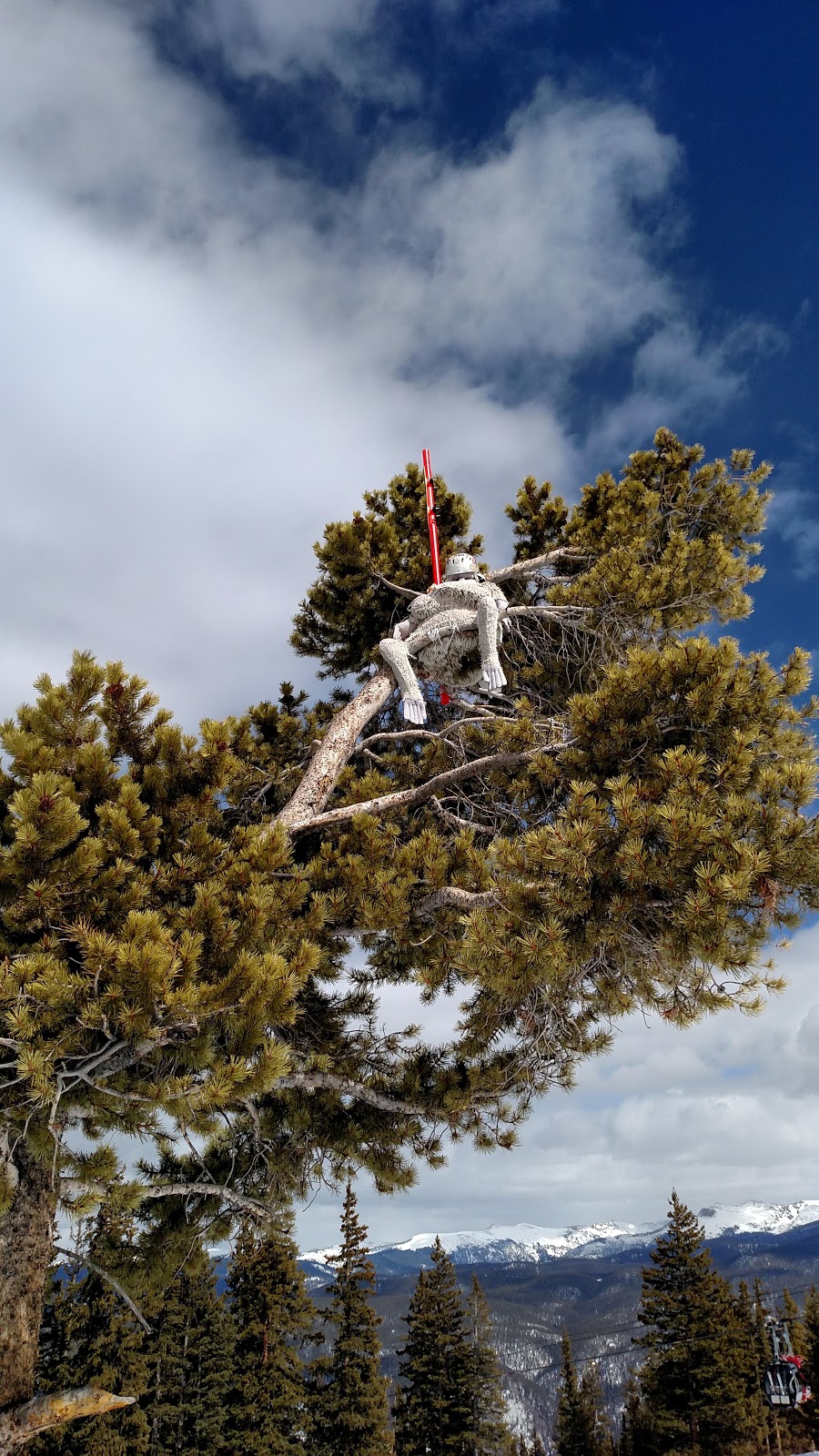 Bonnies Restaurant | restaurant | Aspen Mountain, Aspen, CO 81611, USA | 9705446252 OR +1 970-544-6252