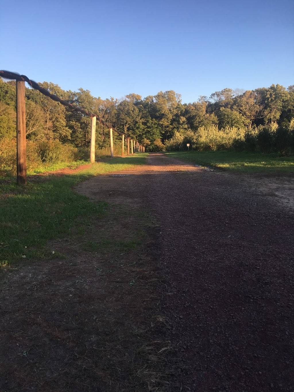 Dunkin | cafe | 1625 Kendarbren Dr, Jamison, PA 18929, USA | 2153434922 OR +1 215-343-4922