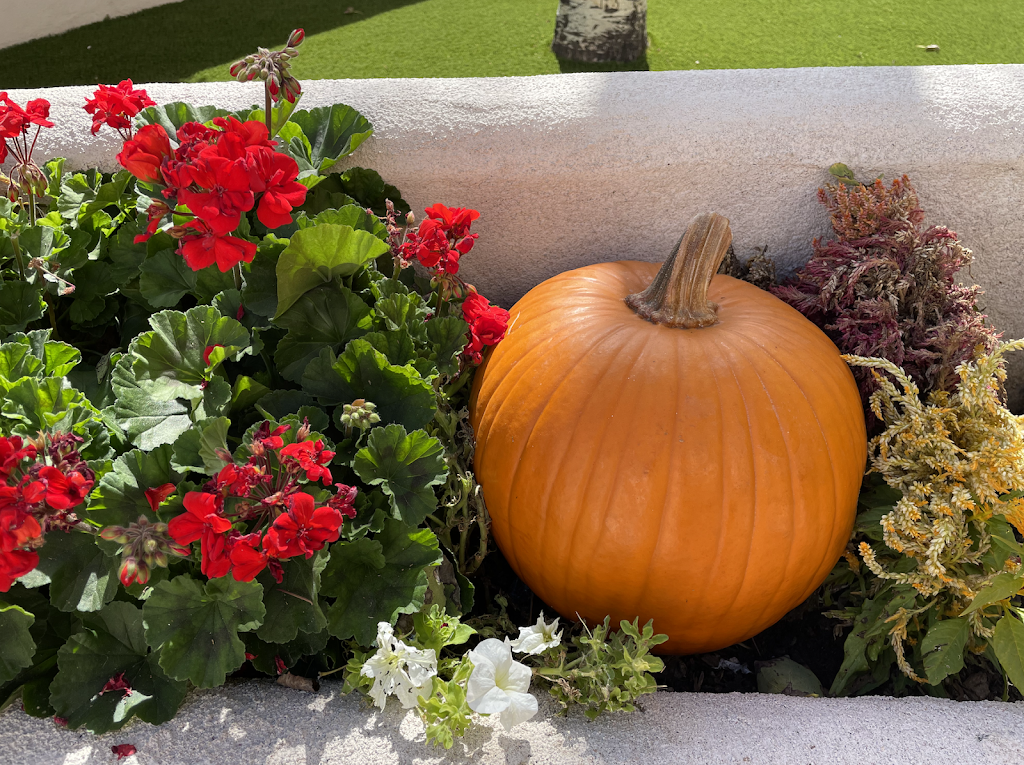 The Historic El Fidel Hotel | cafe | 500 Douglas Ave, Las Vegas, NM 87701, USA | 5054256761 OR +1 505-425-6761