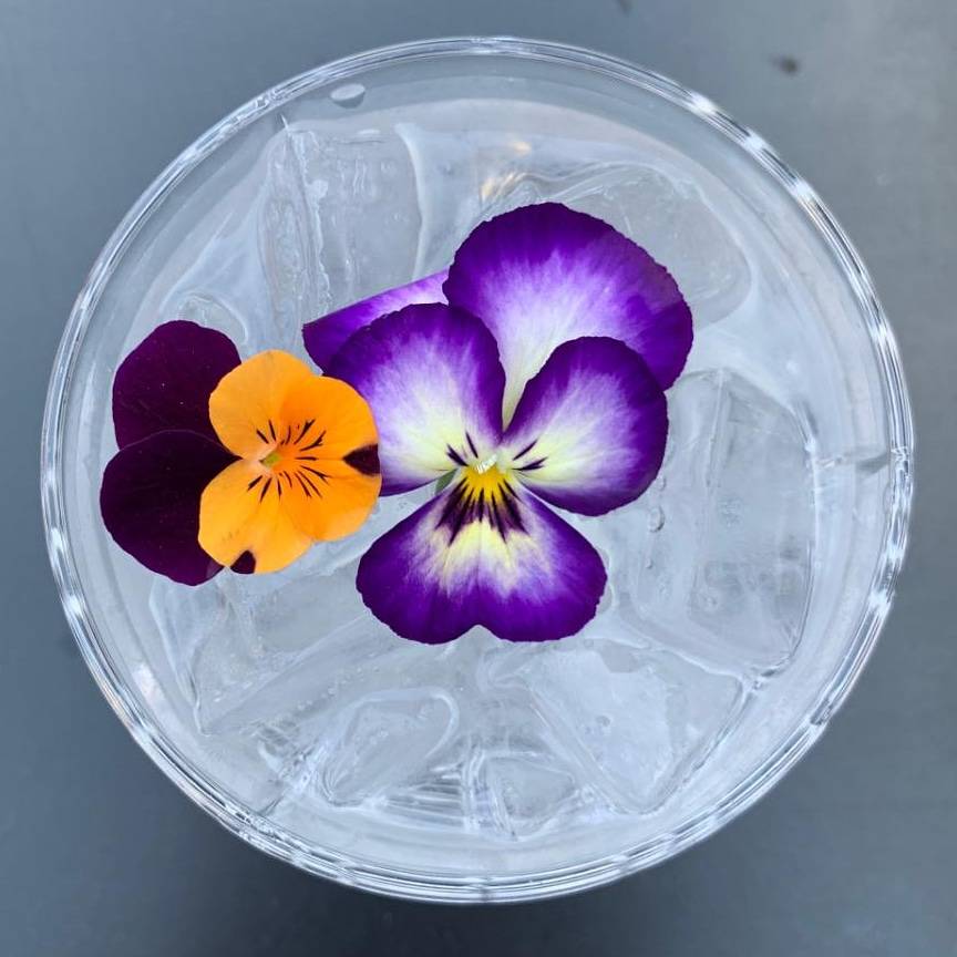 alley & vine | restaurant | 1332 Park St STE D, Alameda, CA 94501, USA | 5102275006 OR +1 510-227-5006