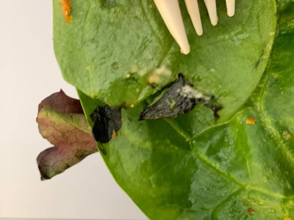 Which Wich Dallas Galleria | restaurant | 13350 Dallas Pkwy #3425, Dallas, TX 75240, USA | 2142729999 OR +1 214-272-9999