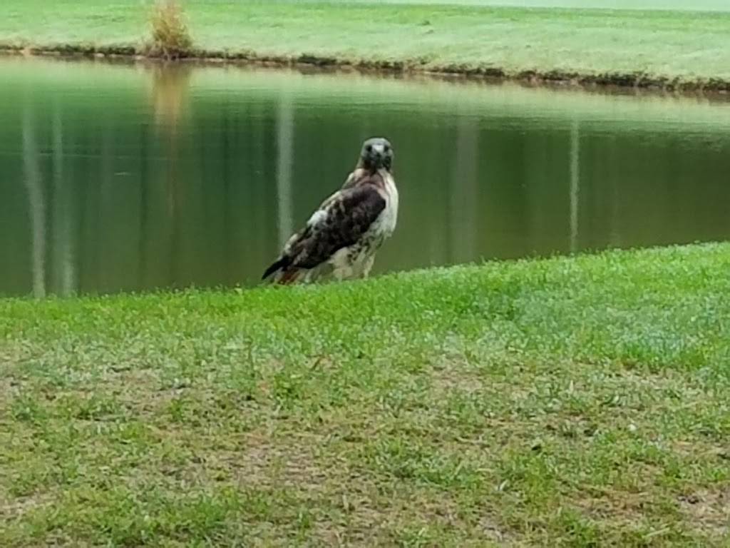 Richmond Country Club | restaurant | 74 Sandy Pond Rd, Hope Valley, RI 02832, USA | 4013649200 OR +1 401-364-9200