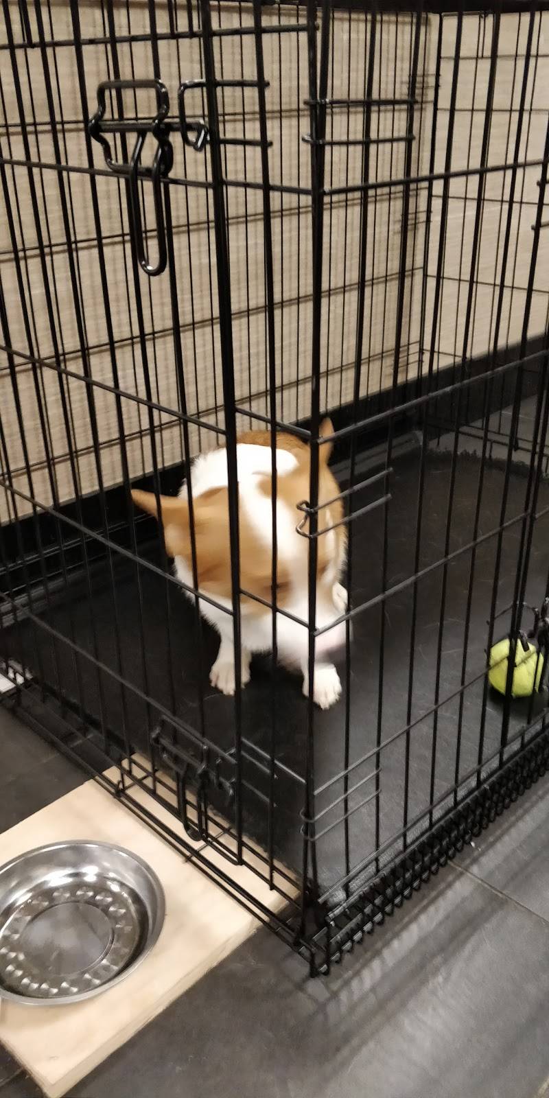 21 Cafe | restaurant | 124 Headson Dr, Syracuse, NY 13214, USA | 3154466688 OR +1 315-446-6688