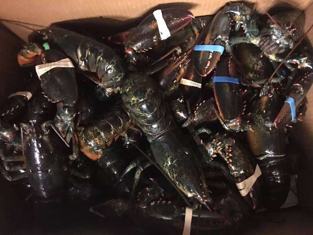 WILD ATLANTIC SEAFOOD | restaurant | 622 Cassat Ave, Jacksonville, FL 32205, USA | 9045517595 OR +1 904-551-7595