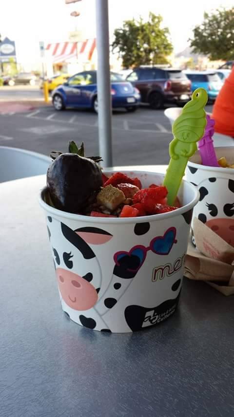 Menchies Frozen Yogurt | bakery | 655 Sunland Park Dr Ste L6, El Paso, TX 79912, USA | 9155841820 OR +1 915-584-1820