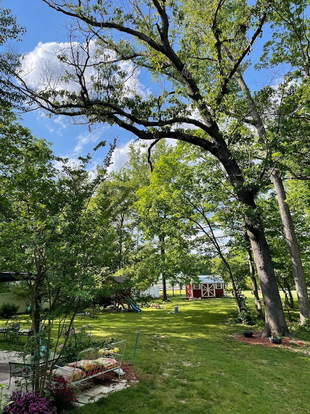 Raptors Roost Disc Golf | restaurant | 1944 Shenandoah Crossing Dr, Gordonsville, VA 22942, USA | 5408418777 OR +1 540-841-8777