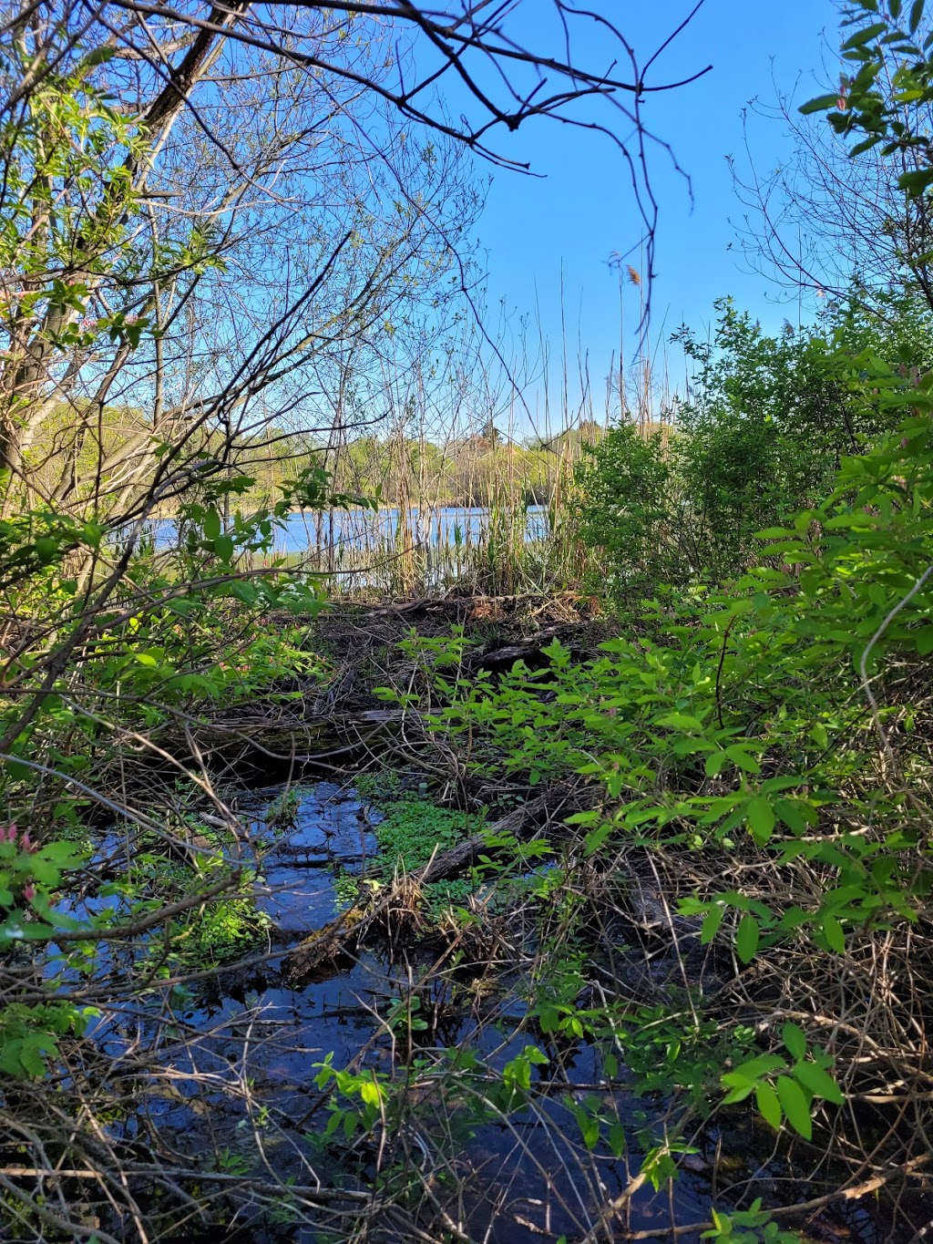 East Aurora Country Club | restaurant | 300 Girdle Rd, East Aurora, NY 14052, USA | 7166526800 OR +1 716-652-6800