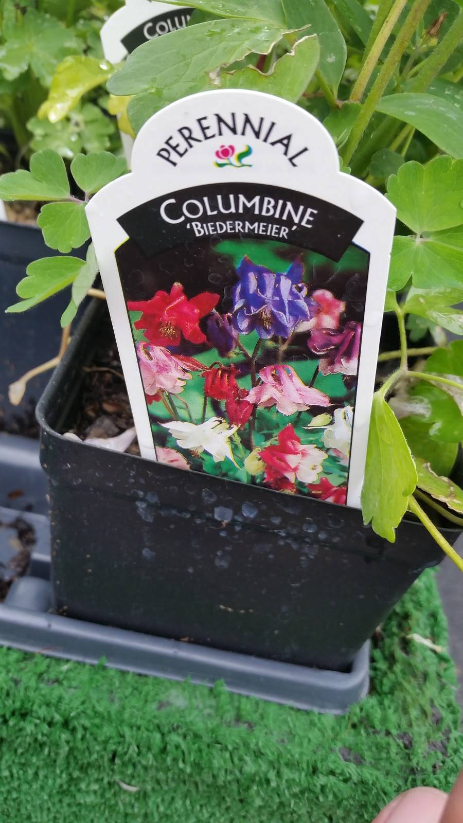 West Oaks Farm Market | cafe | 4305 Middle Rd, Winchester, VA 22602, USA | 5405398175 OR +1 540-539-8175