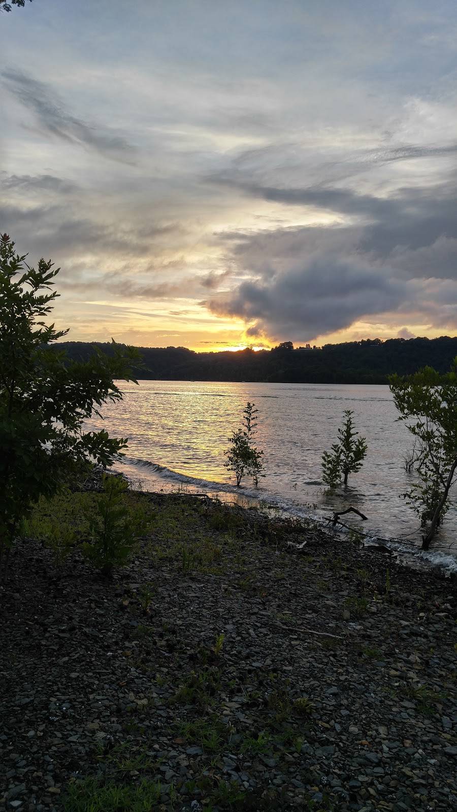 Pier 42 Restaurant at Sunset Marina | restaurant | 2040 Sunset Dock Rd, Monroe, TN 38573, USA | 9318644874 OR +1 931-864-4874