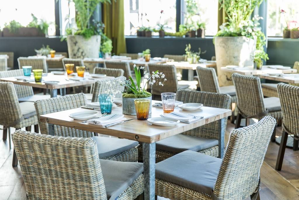 Terrain Cafe | cafe | Stanford Shopping Center, 180 El Camino Real #1301, Palo Alto, CA 94304, USA | 6502621830 OR +1 650-262-1830