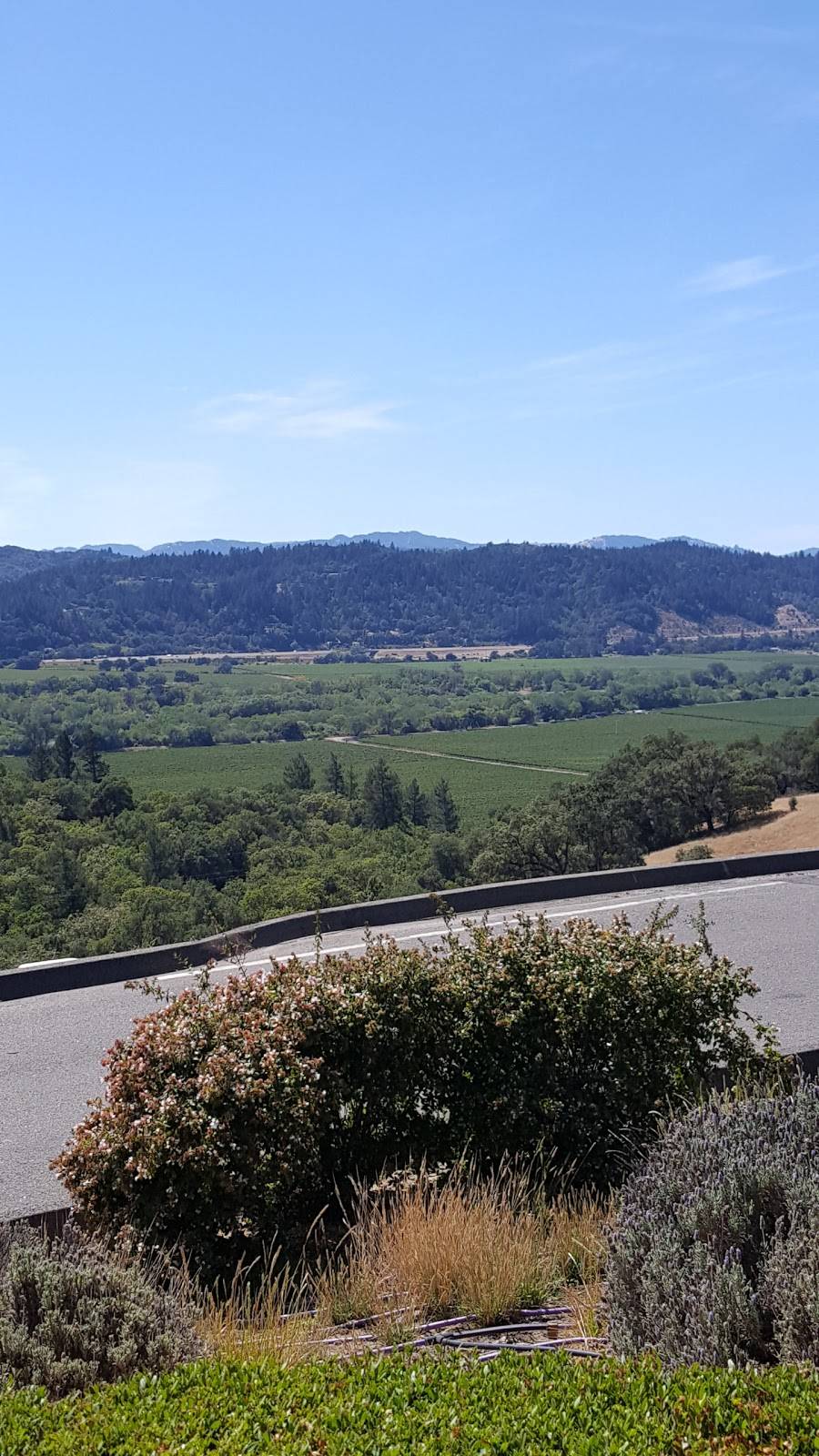 River Rock Casino | restaurant | 3250 CA-128, Geyserville, CA 95441, USA | 8778837777 OR +1 877-883-7777