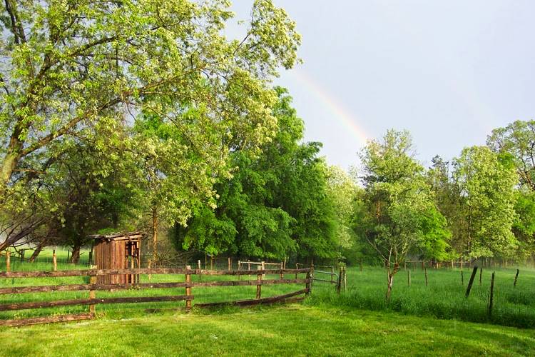 The Inn at Celebrity Dairy | restaurant | 144 Celebrity Dairy Way, Siler City, NC 27344, USA | 9197425176 OR +1 919-742-5176