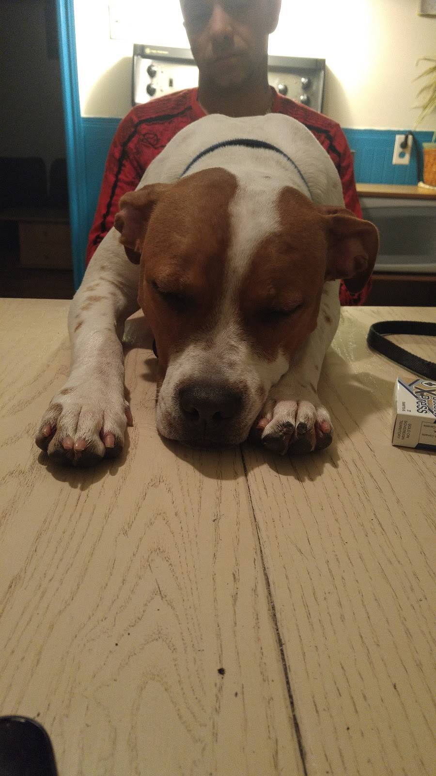 Restaurant La Belle Province | restaurant | 2690 Rue Dessaulles, Saint-Hyacinthe, QC J2S 2V5, Canada | 4502610120 OR +1 450-261-0120