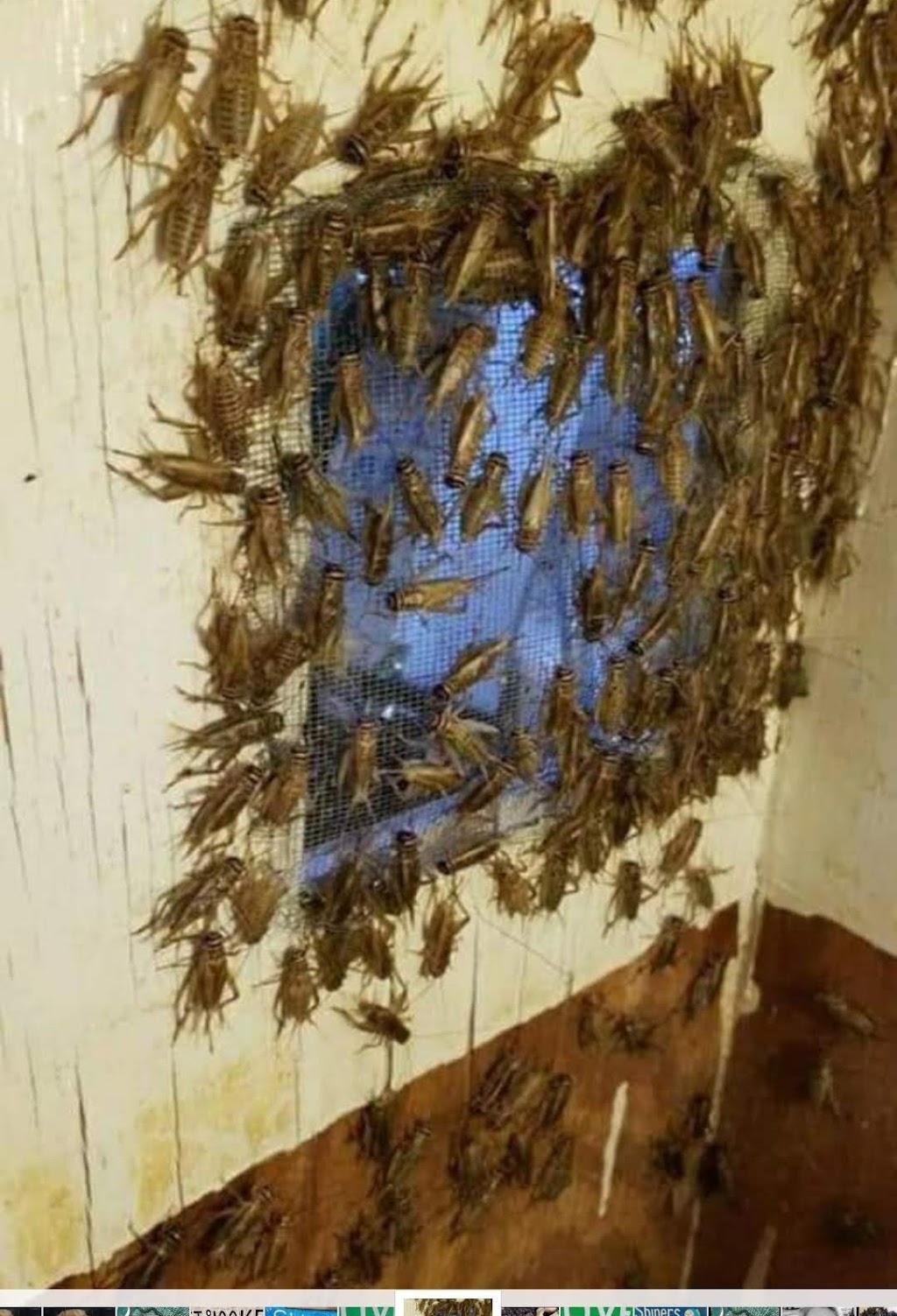 Bait Beer & Biscuits | restaurant | 3603 Awalt Rd, Tullahoma, TN 37388, USA | 9314097185 OR +1 931-409-7185