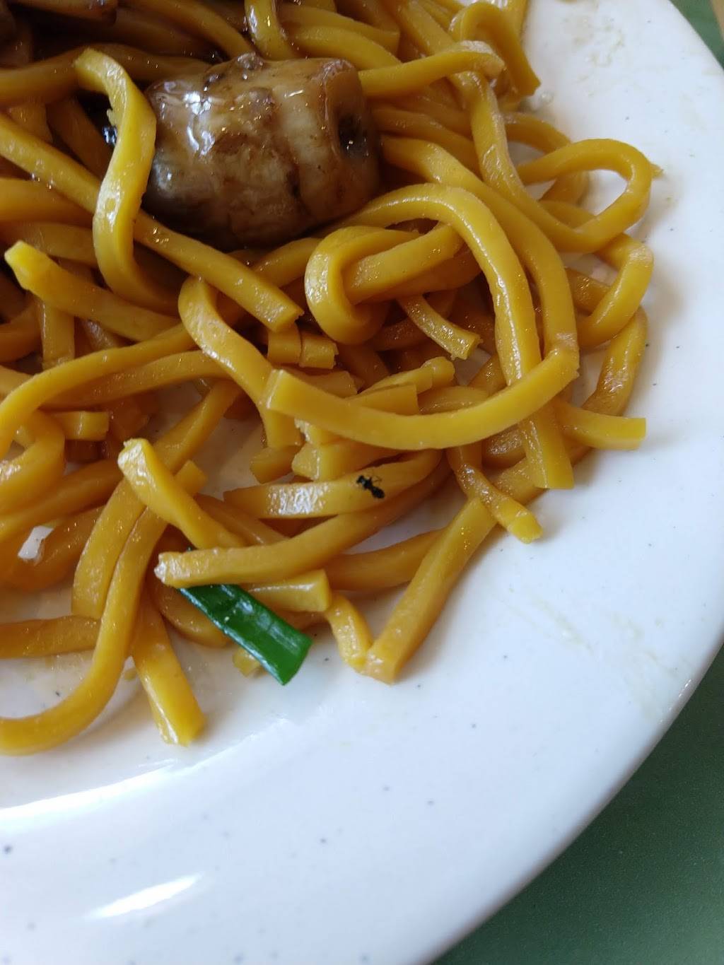 Great Wall | restaurant | 516 W Wisconsin St, Sparta, WI 54656, USA | 6082696868 OR +1 608-269-6868