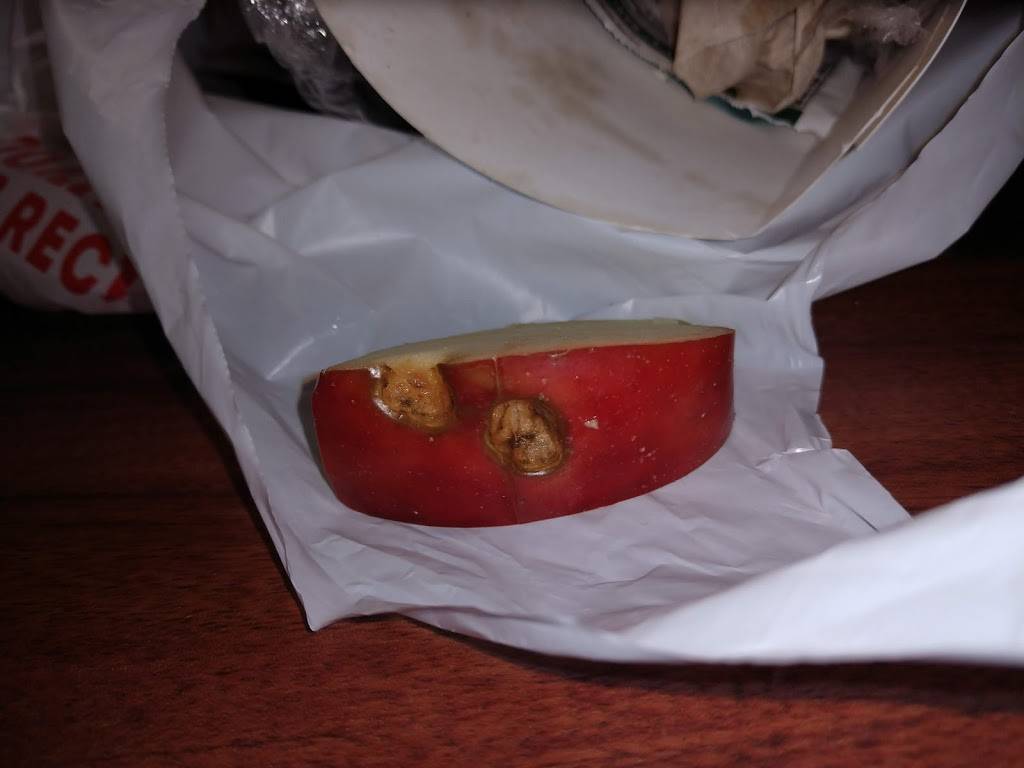 Wendys | restaurant | 3404 Court St, Catlettsburg, KY 41129, USA | 6067398771 OR +1 606-739-8771