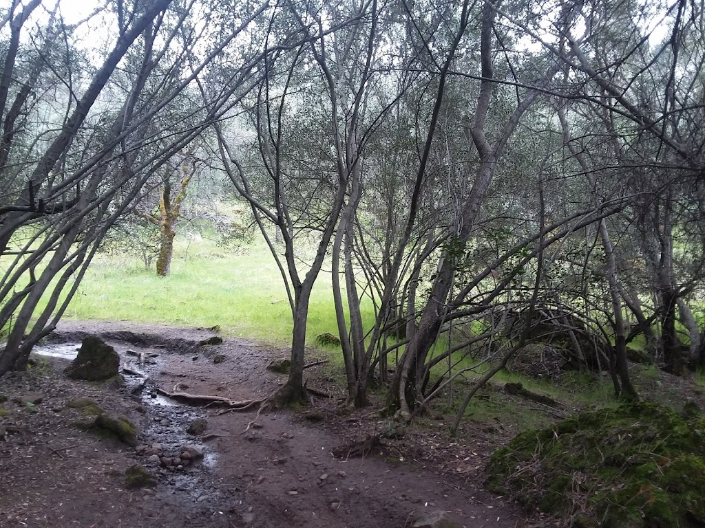 Bidwell Park Golf Course | restaurant | 3199 Golf Course Rd, Chico, CA 95973, USA | 5308918417 OR +1 530-891-8417