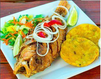 Sabor Latino Cubano Criollo Restaurant | restaurant | 6500 Bird Rd, Miami, FL 33155, USA | 7867732940 OR +1 786-773-2940