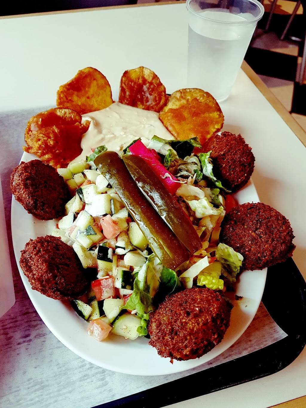 Falafel King Inc | restaurant | 1010 Broxton Ave, Los Angeles, CA 90024, USA | 3102084444 OR +1 310-208-4444