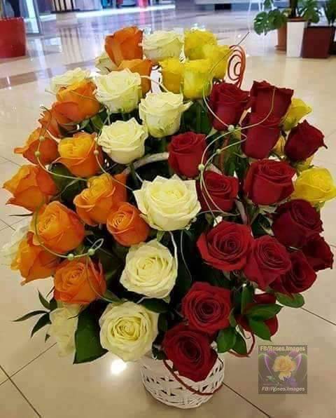 La Dulce Noche | restaurant | 3566 14th St NW, Washington, DC 20010, USA | 2027232800 OR +1 202-723-2800