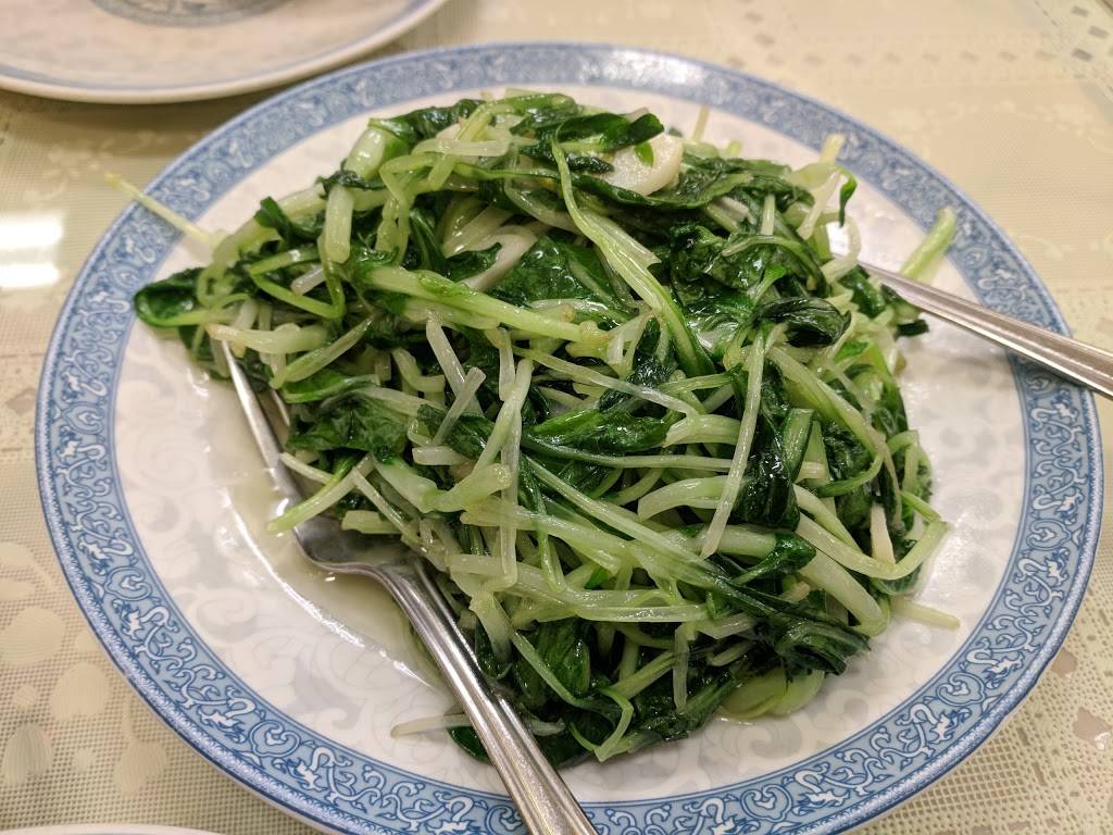 Shanghai Flavor | restaurant | 46132 Warm Springs Blvd, Fremont, CA 94539, USA | 5103531013 OR +1 510-353-1013