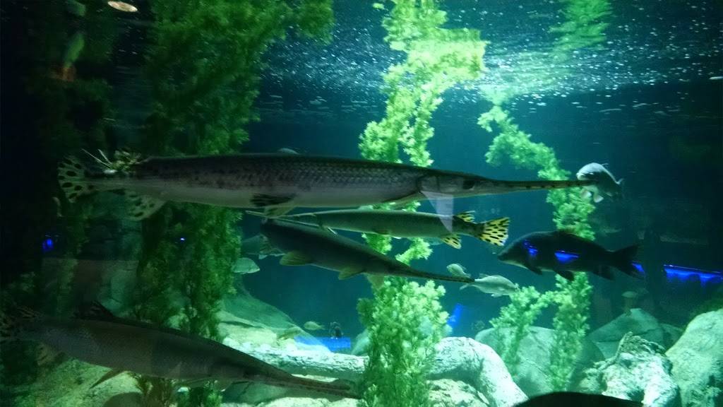 Butterfly Cafe | restaurant | 9500 East Vía de Ventura, Scottsdale, AZ 85256, USA | 4808003000 OR +1 480-800-3000