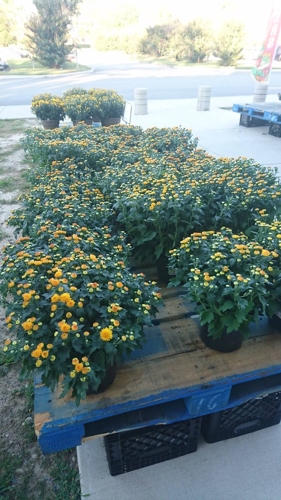 Burger King | restaurant | Bldg 1328, Fort Eustis, VA 23604, USA | 7578871602 OR +1 757-887-1602