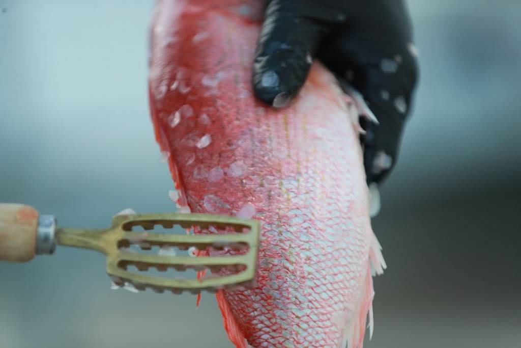 CudaCo. | restaurant | 765 Folly Rd, Charleston, SC 29412, USA | 8437893105 OR +1 843-789-3105