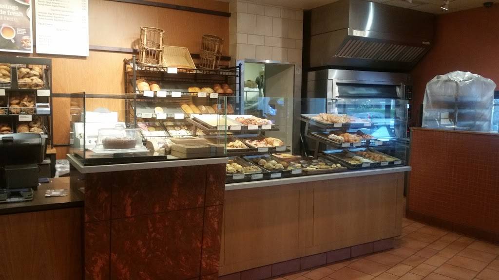 Panera Bread | bakery | 999 E E Basse Rd, San Antonio, TX 78209, USA | 2108227000 OR +1 210-822-7000