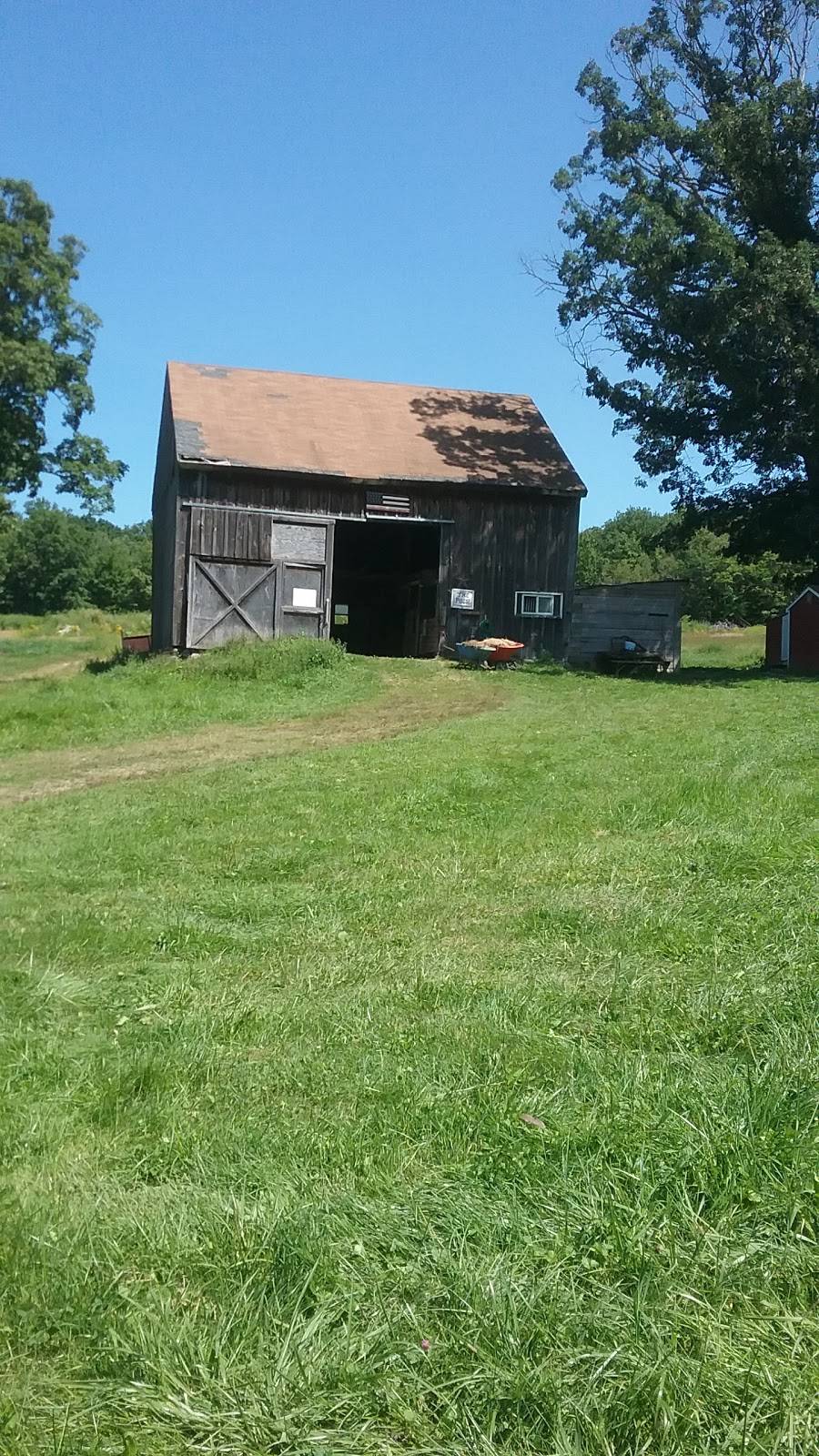 Momento Restaurant | restaurant | 374 Morsetown Rd, West Milford, NJ 07480, USA | 9737289613 OR +1 973-728-9613