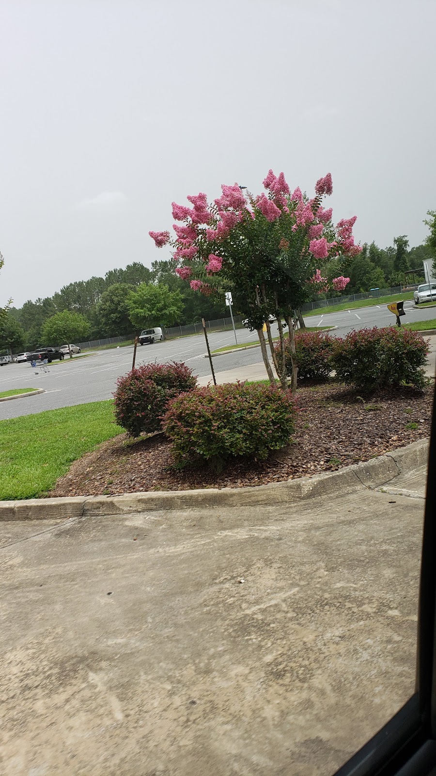 Sonic Drive-In | restaurant | 1950 S Jefferson St, Perry, FL 32348, USA | 8505843505 OR +1 850-584-3505