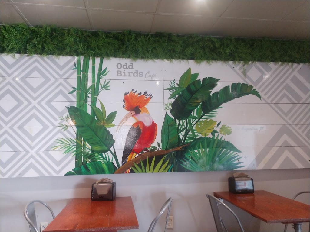 Odd Birds Cafe | restaurant | 121 Yacht Club Dr, St. Augustine, FL 32084, USA | 9042173557 OR +1 904-217-3557