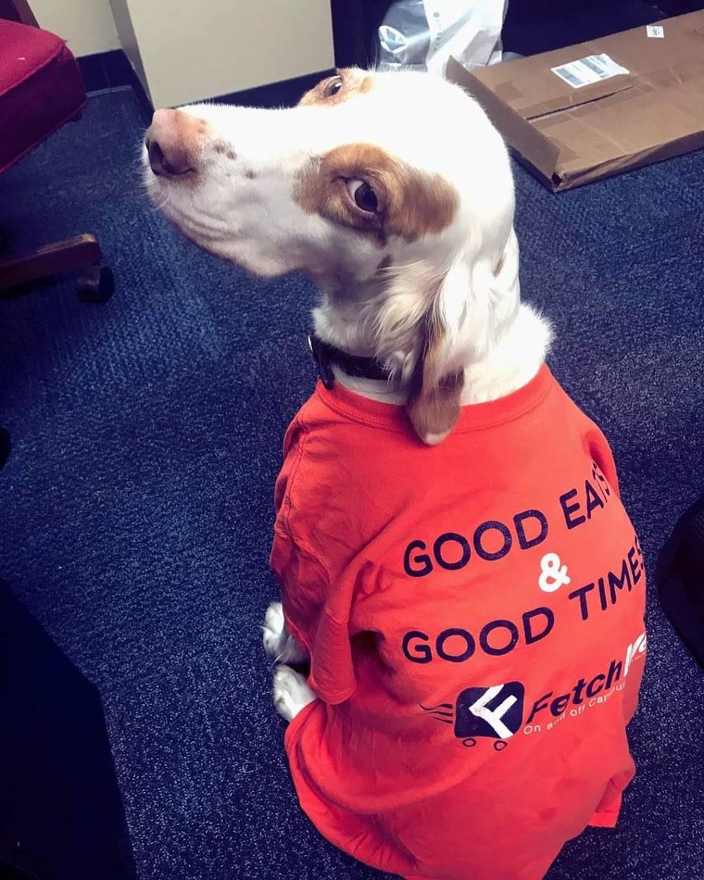 FetchMe Delivery Madison | restaurant | 103 Spenryn Dr, Madison, AL 35758, USA | 2562589016 OR +1 256-258-9016