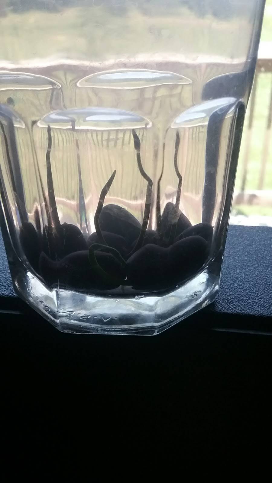 Kirkys Deli & Pizza Inc. | restaurant | 1922 Rte 9W, Milton, NY 12547, USA | 8457955378 OR +1 845-795-5378