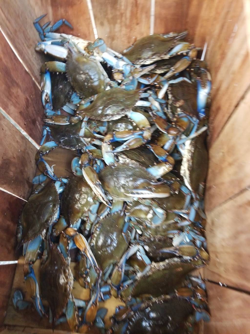 Covenant Crab Co | restaurant | 2245 Fowler St, Fort Myers, FL 33901, USA | 2392783553 OR +1 239-278-3553